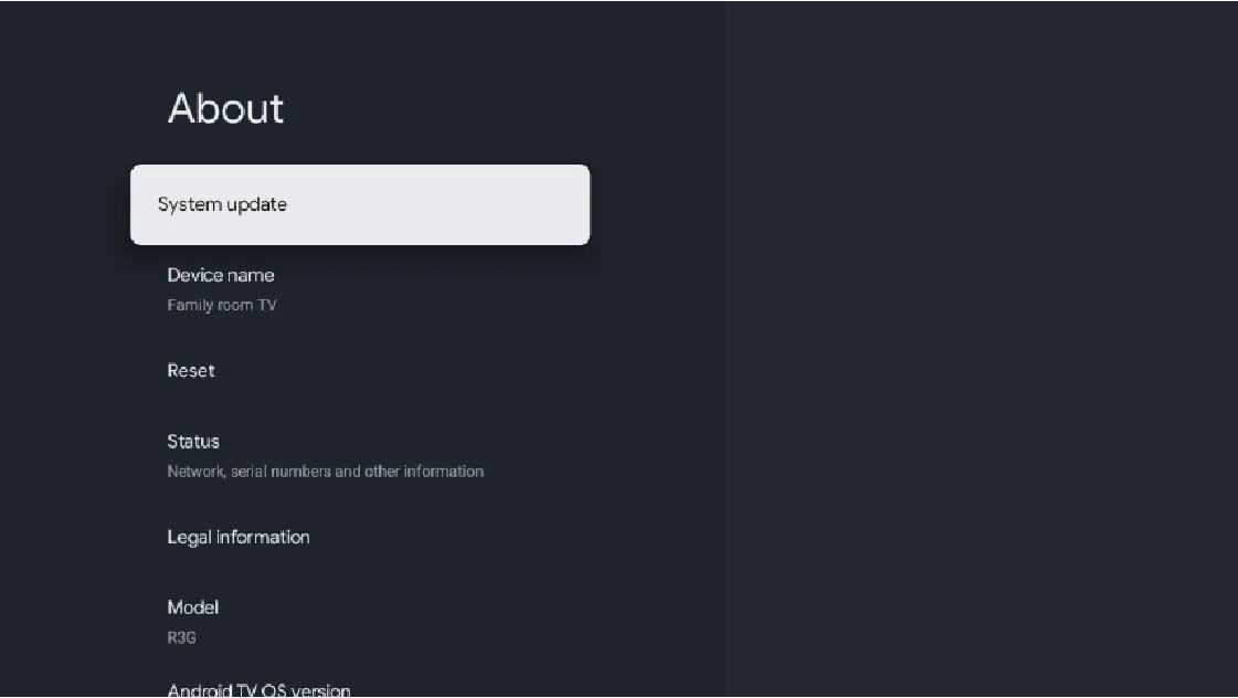 Google TV features